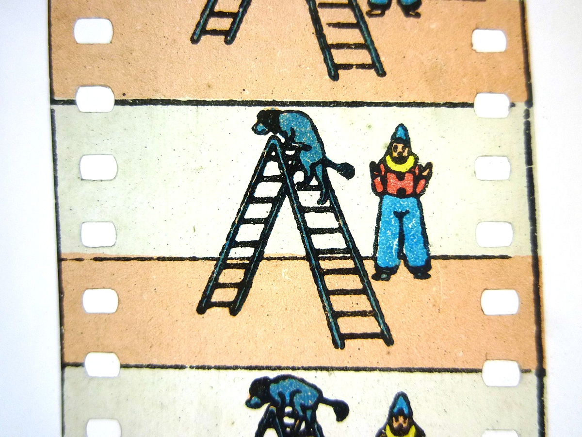 Bild für den Film Hund auf Leiter