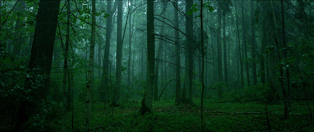 Bild fï¿½r den Film The Ancient Woods