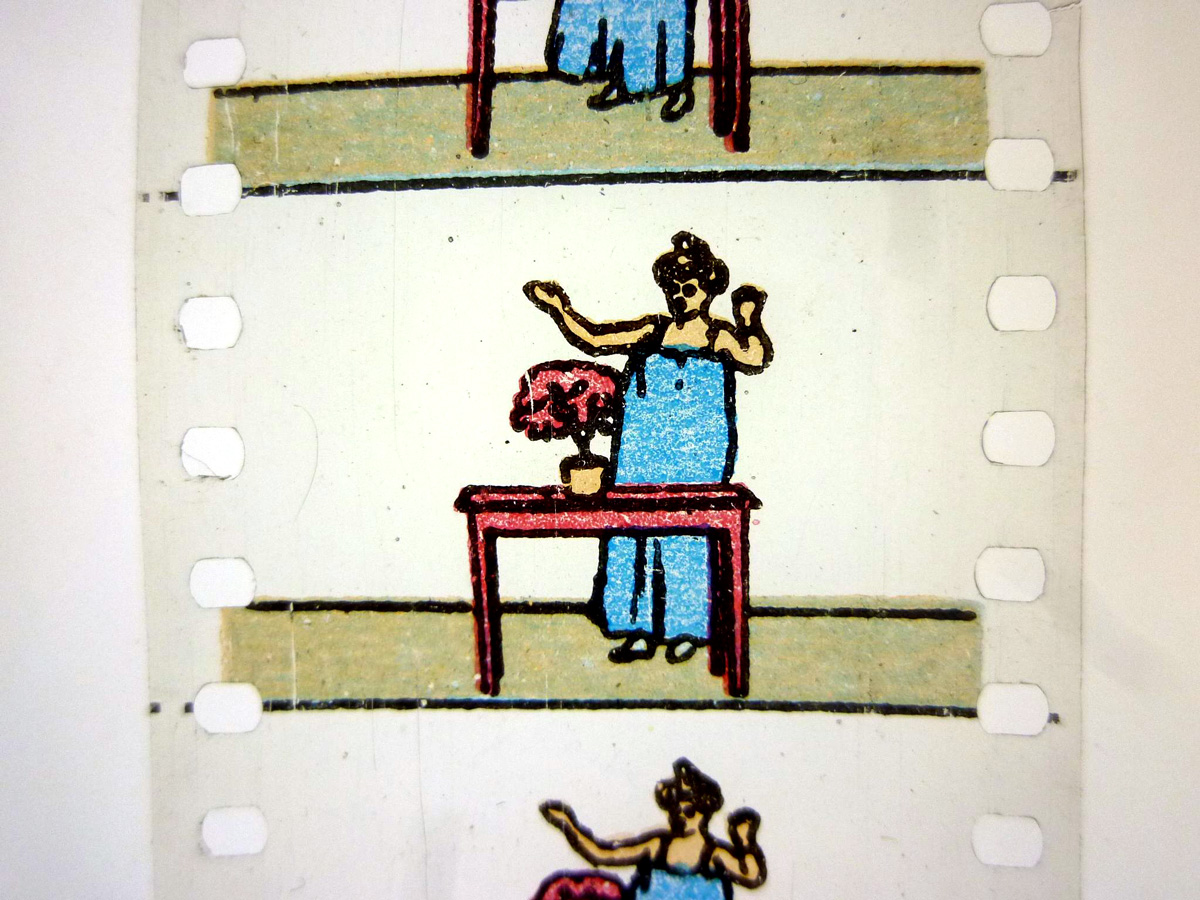 Bild für den Film Zaubertrick mit Topfblume